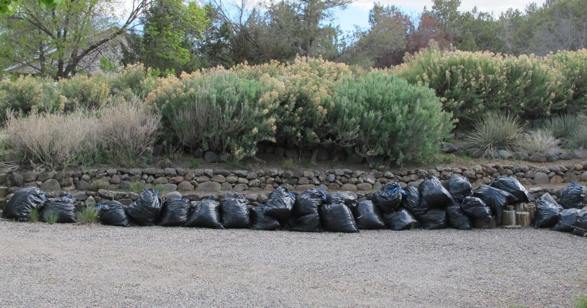 WHAT'S BUGGING YOU? How is your spring garden cleanup going? | Outdoors ...