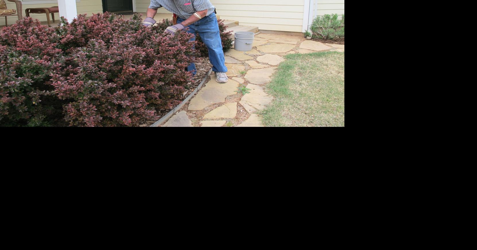 WHAT'S BUGGING YOU?: Time to Get Busy With Spring Garden Chores ...
