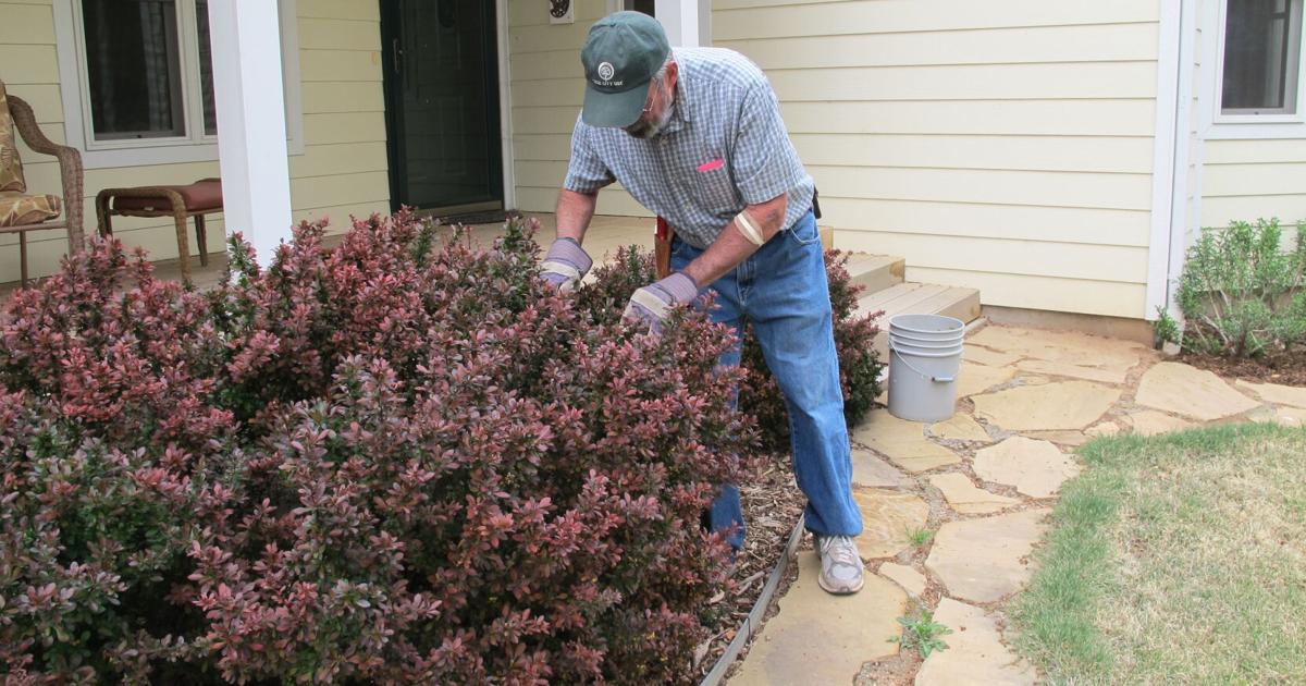Bugging Into Spring WHAT'S BUGGING YOU?: Time to Get Busy With Spring Garden Chores ...