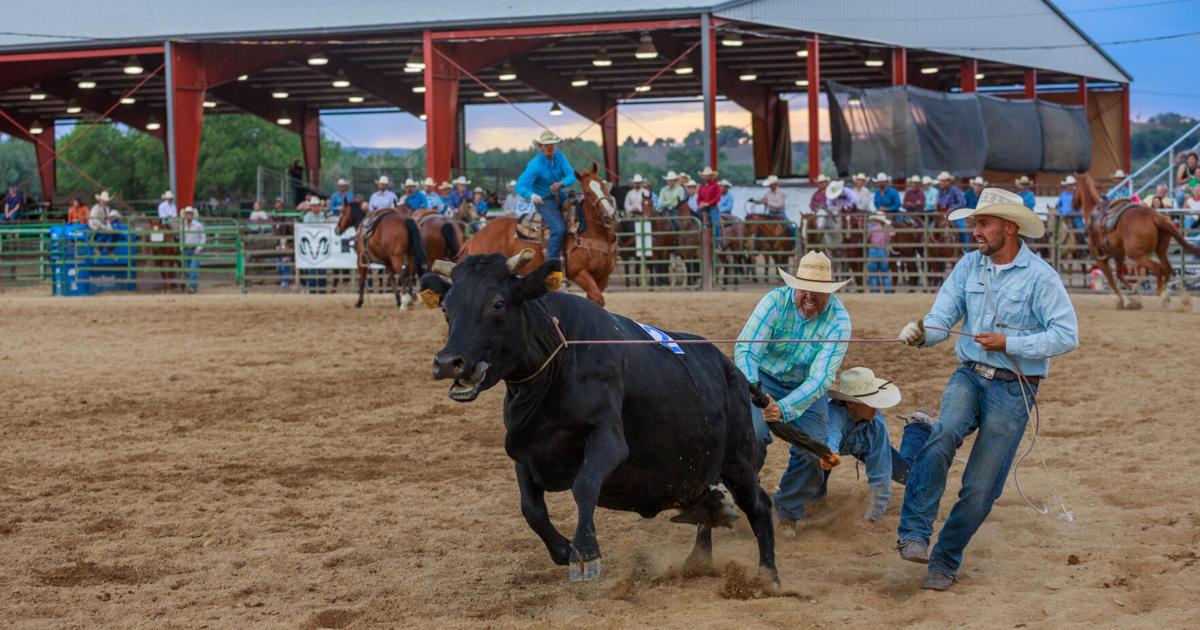 Donkey Rodeo Ranch Rodeo brings area ranch competitors together in cattle games ...