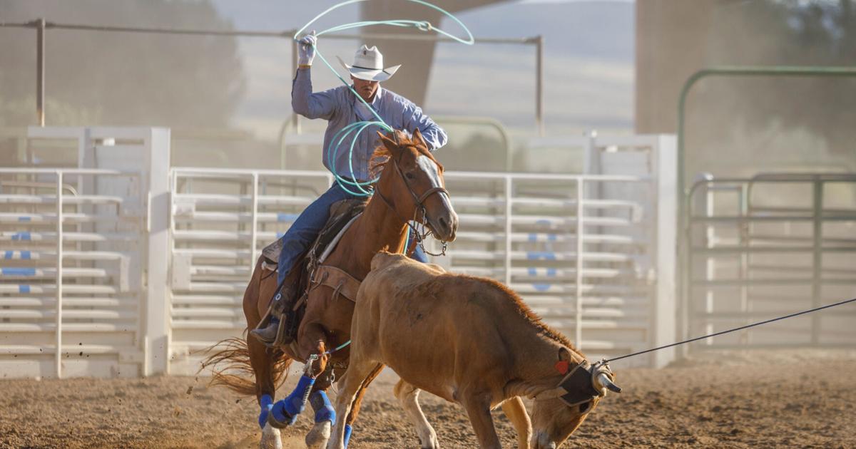 Team roping sets the tone for rodeo week | News ...