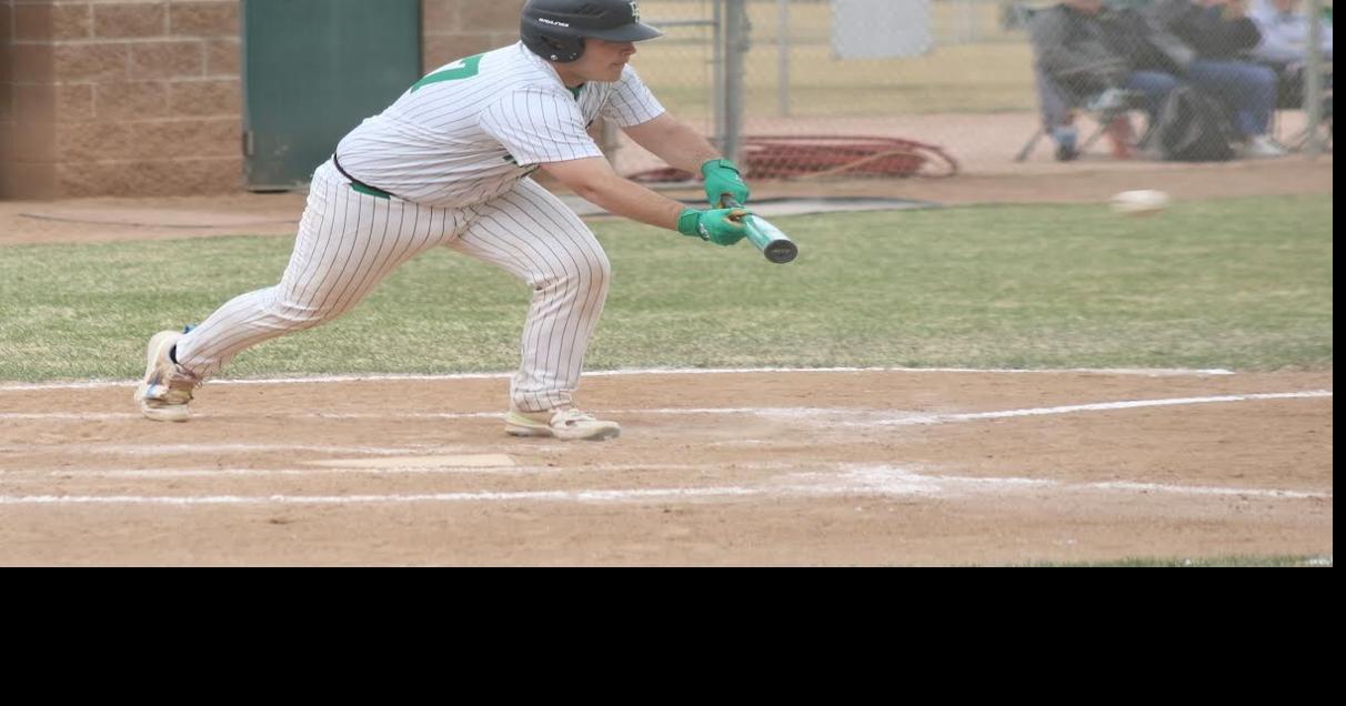 Delta baseball blanks defending champ Coal Ridge, advances to state quarterfinals