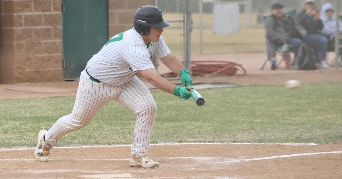 Delta baseball blanks defending champ Coal Ridge, advances to state quarterfinals