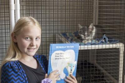 Summer Reading Goes To The Dogs And Cats Surface Creek Deltacountyindependent Com