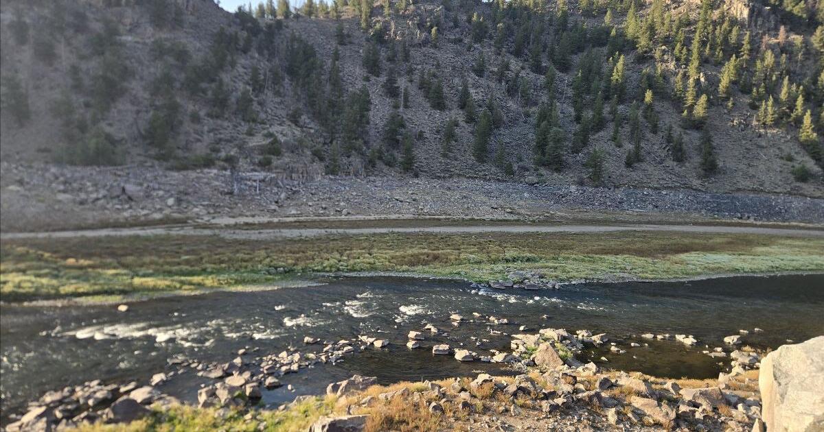 In hot water — High temps, potential wildfire debris in waterways spell stress for fish