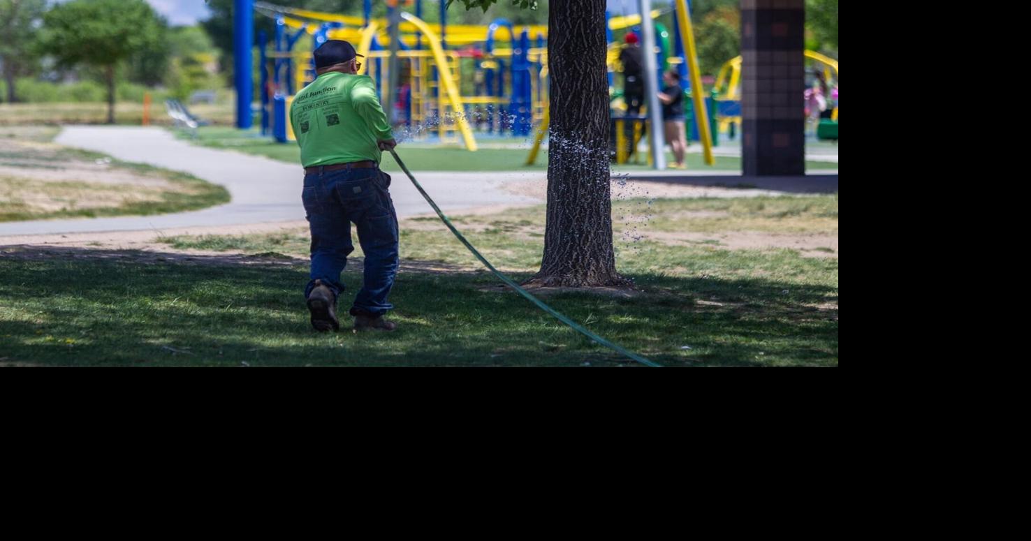 Seeing drought impacts, Grand Junction asks residents to keep watering trees