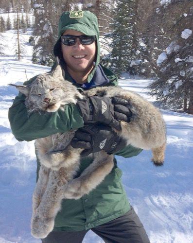 Ghost Cats of the Northern Forest: Canada Lynx…, Winter 2015, Articles