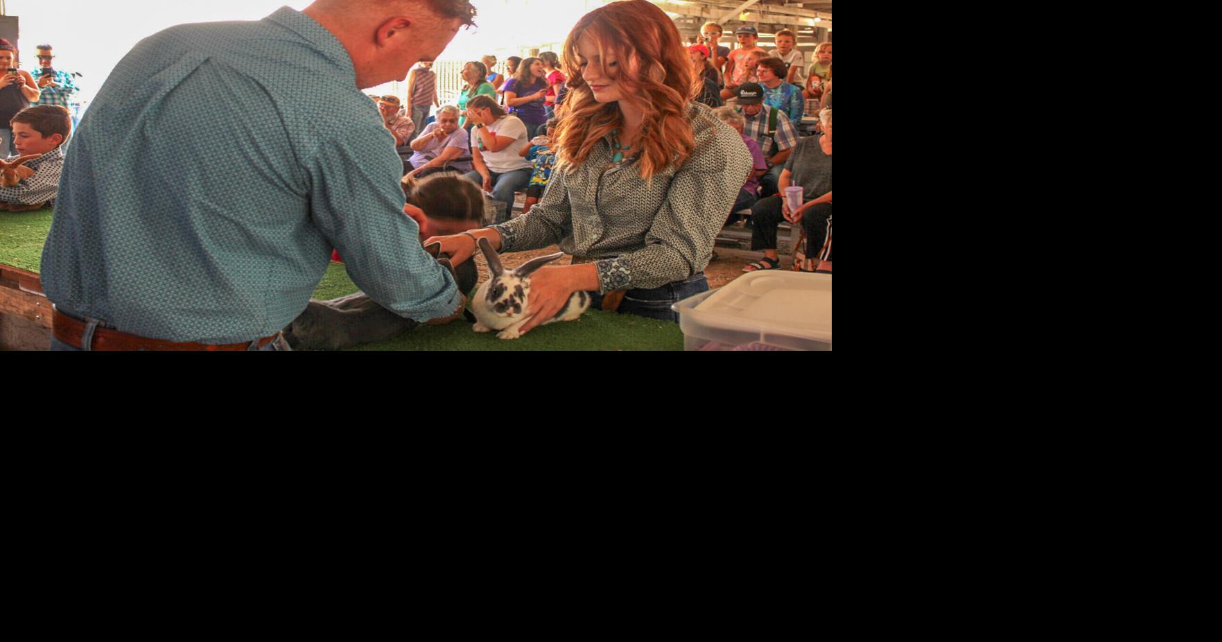Attendees enjoy rabbit showmanship | News | deltacountyindependent.com
