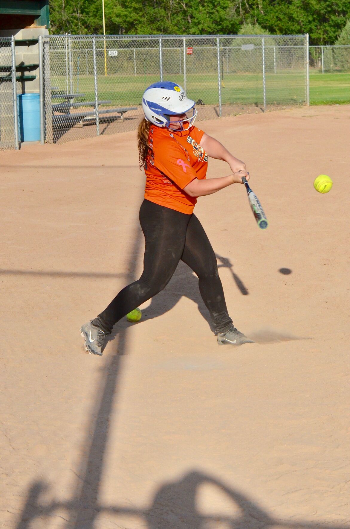 Cedaredge, Delta High School softball teams show good numbers for