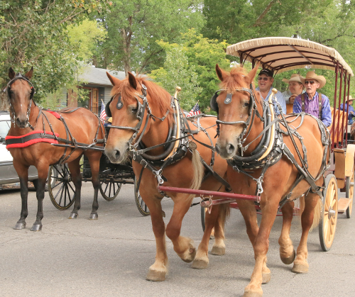 99th year of Deltarado Days has new events for community | News ...