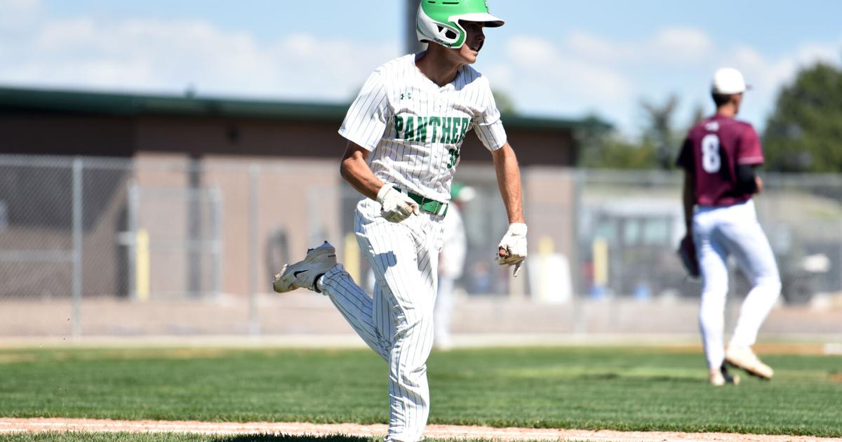 Delta baseball falls short at state despite strong effort