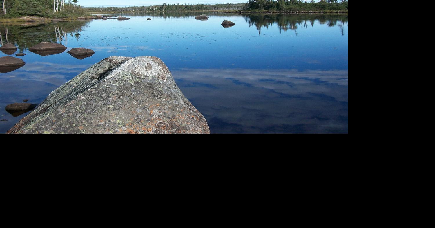 Is cold water bad for you? News