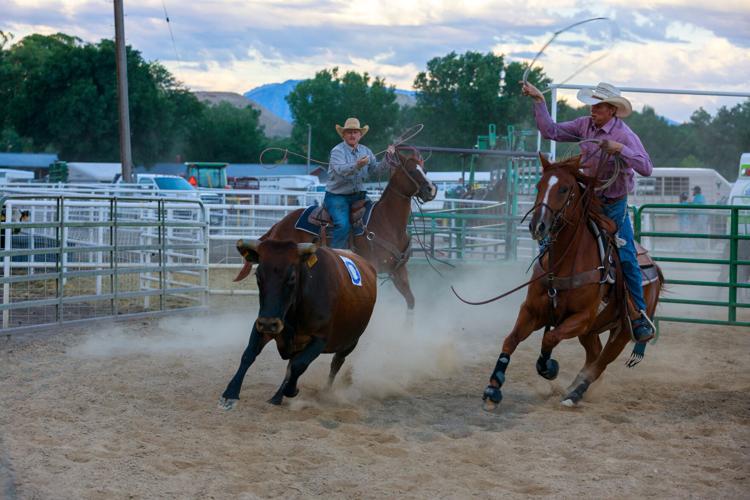 Ranch Rodeo brings area ranch competitors together in cattle games ...