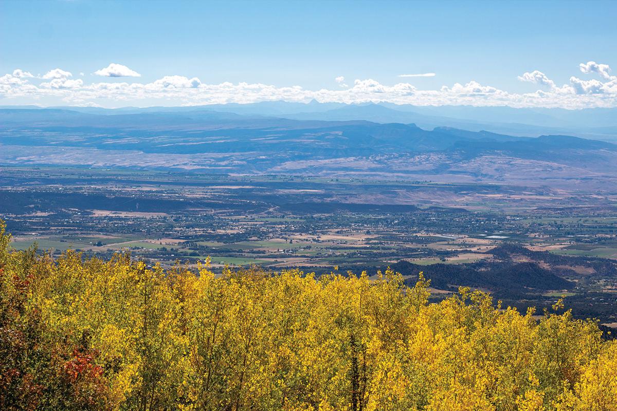 Patterson advances small town development in Cedaredge News