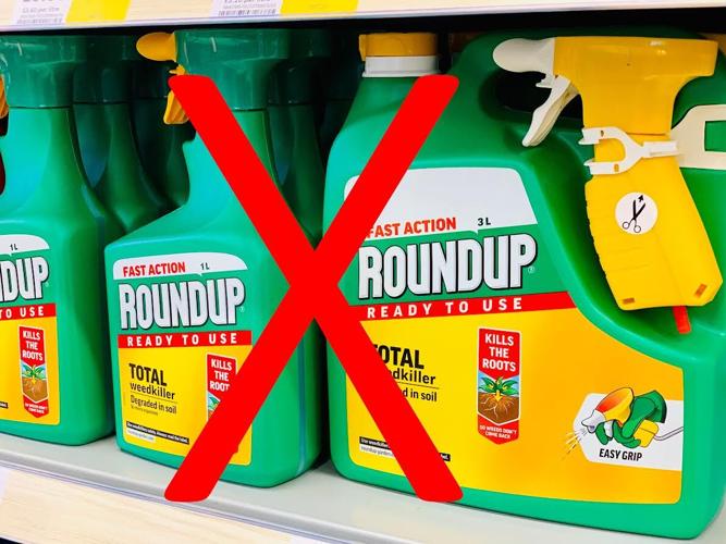 Bayer will replace glyphosate in some Roundup products