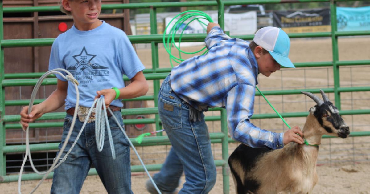 Goat Roping Mem Goat roping at the fair provides fun for all ages ...