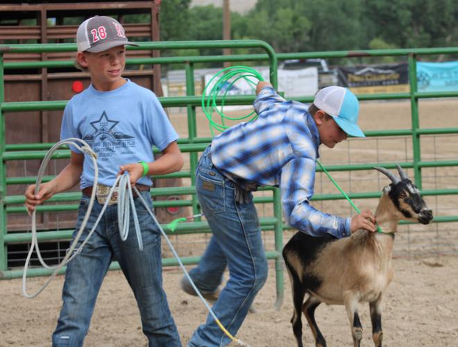 Goat roping at the fair provides fun for all ages ...