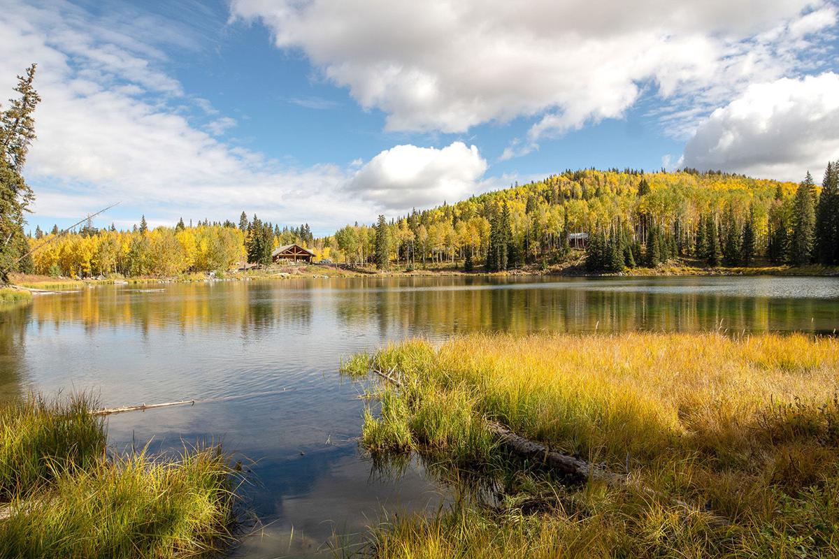 Color Weekend brings people together into nature at its finest News