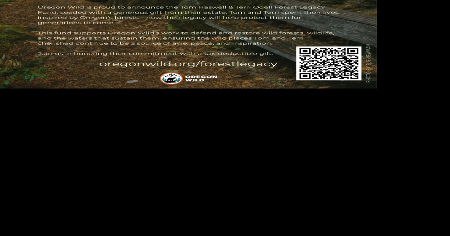 692dbc1dcaa5d.preview.jpg?crop=1432,752,