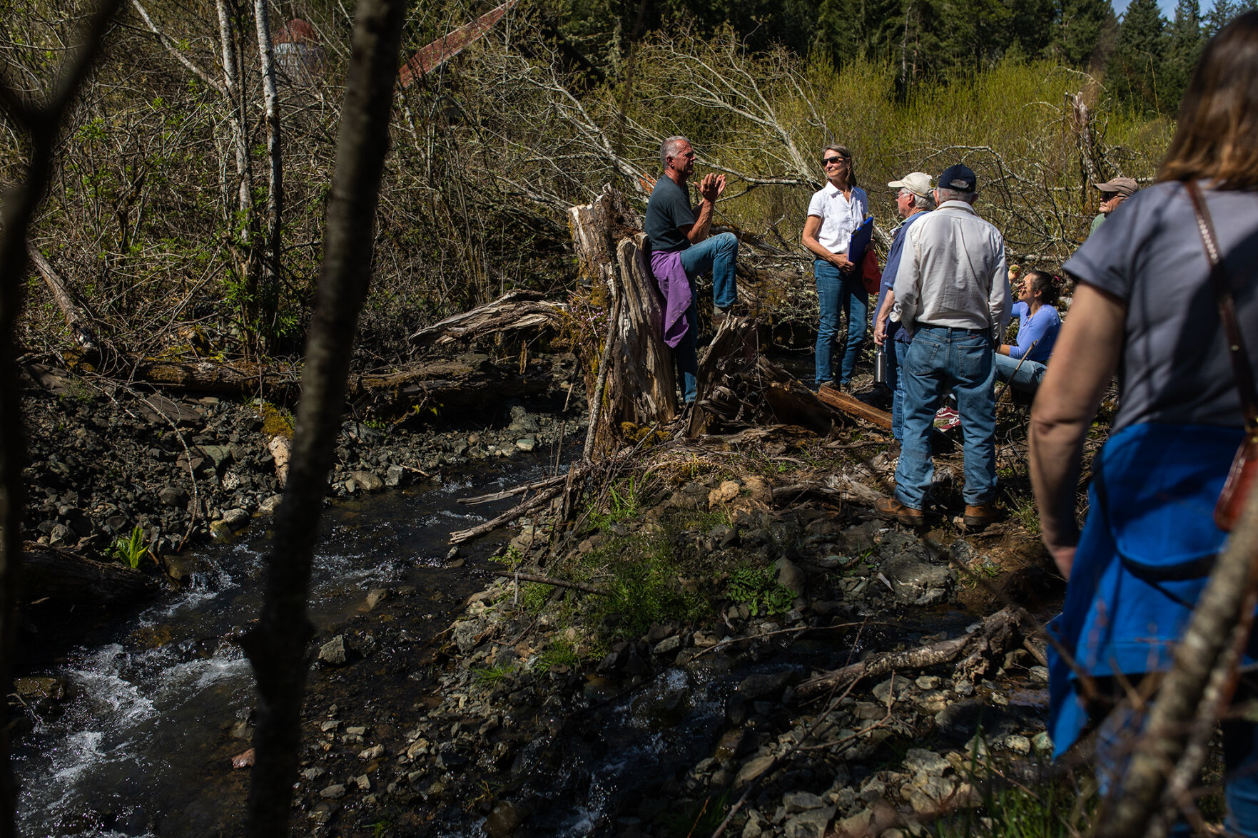 Along the Marys River a beaver human partnership grows