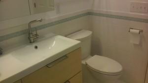 Bathroom Remodel Toilet Area