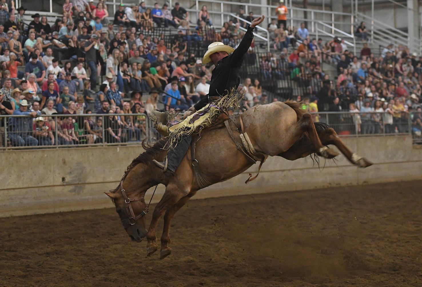 Rough Stock Rodeo09