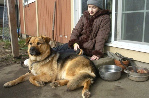 Albany dog has his day