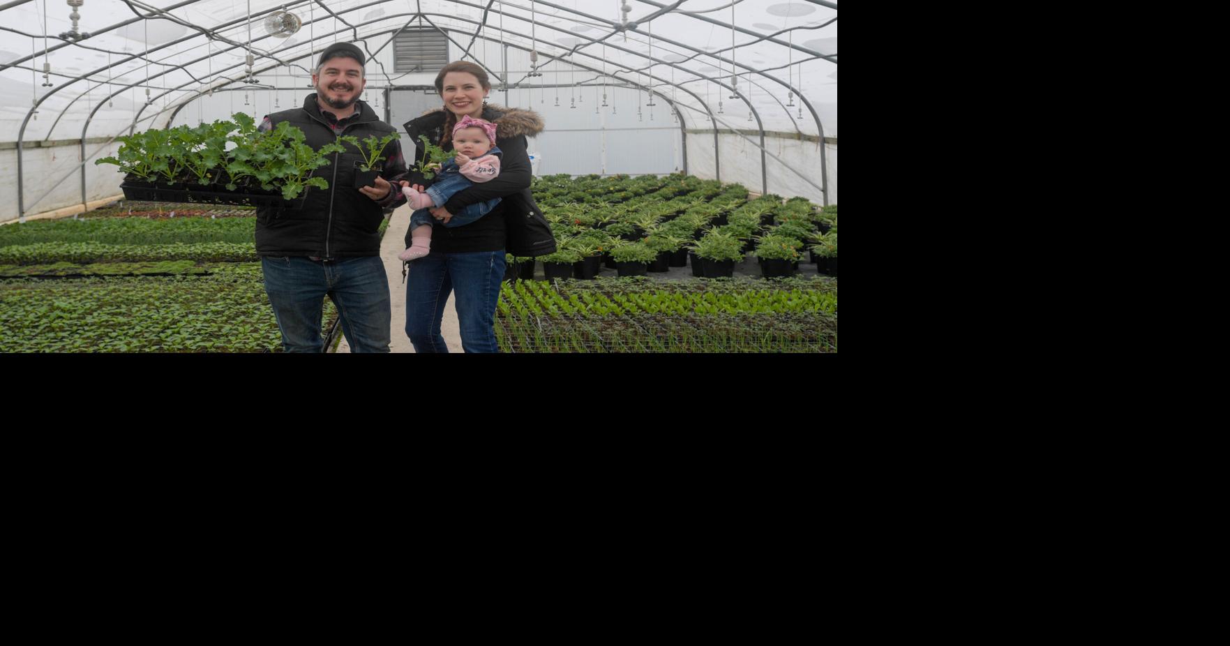Lebanon nursery branches out to midvalley home veggie farmers
