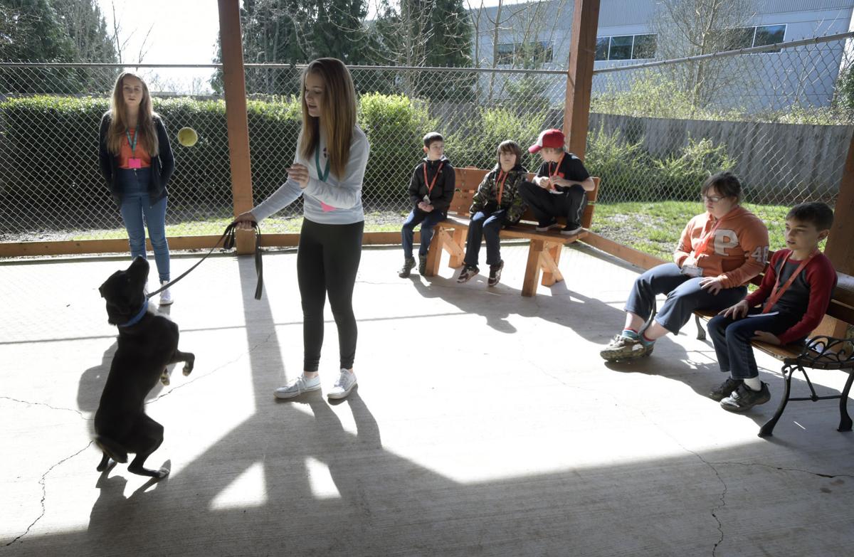 Dog Obedience Training Camp Oregon Dog Obedience Training Camp Oregon