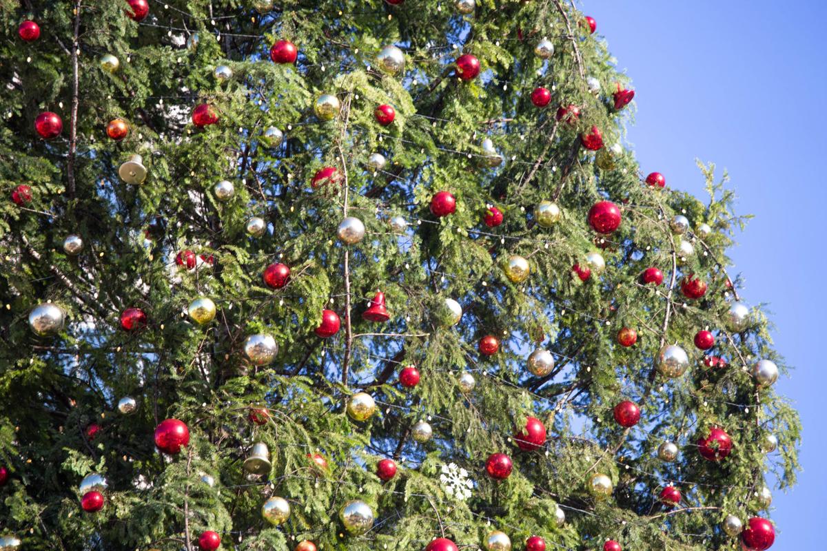 Jan 19 2022 And Christmas Tree And Sweet Home Oregon How A Giant Sweet Home-Grown Christmas Tree Looks Now That It's In Kansas  City | Local | Democratherald.com
