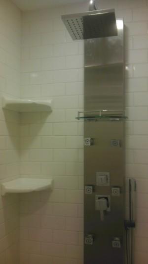 Bathroom Remodel In Shower