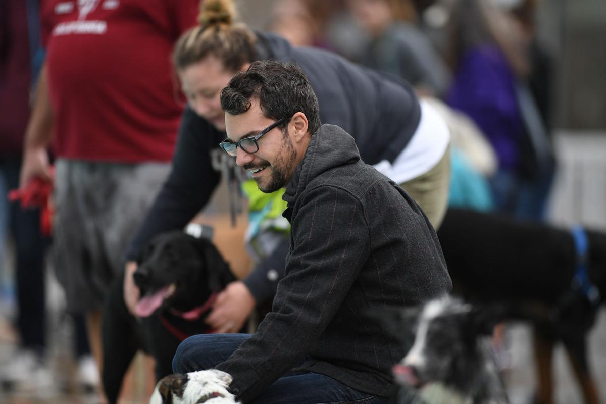 100817-cgt-nws-dogs-0016-ao.jpg