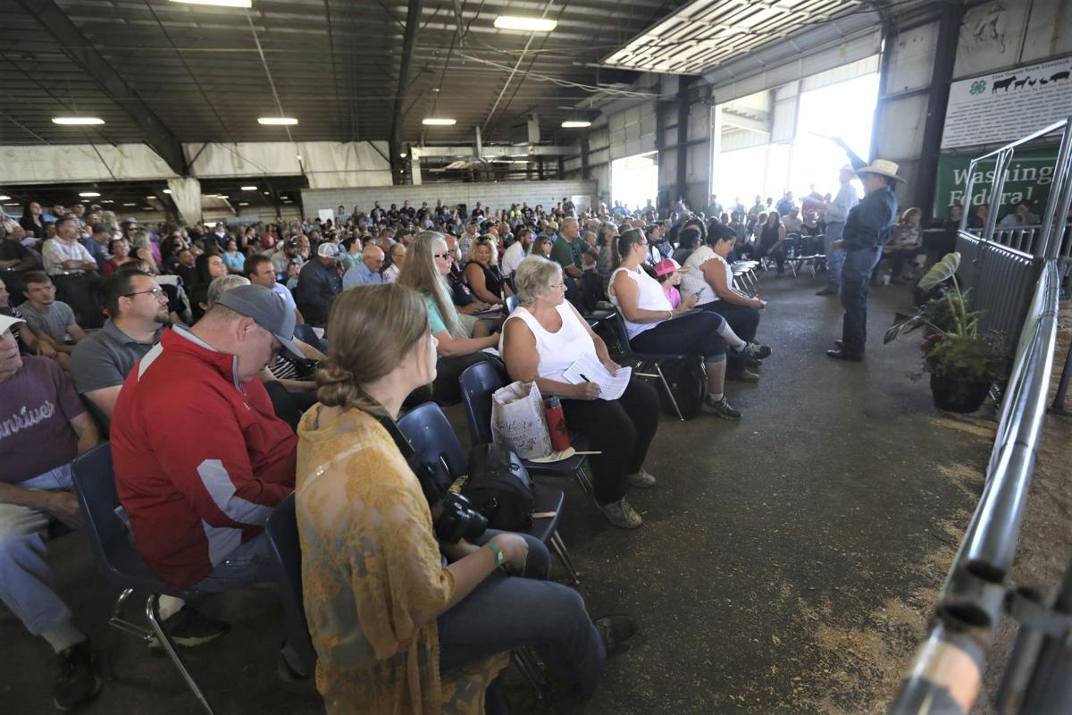 4H, FFA auction hits record 617,775 News