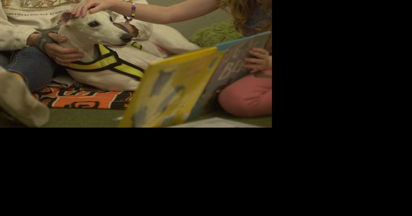 Albany library restarts program for kids to read to dogs