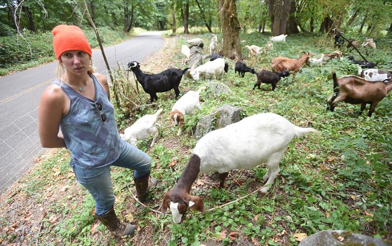 090116-adh-nws-Goats01-my