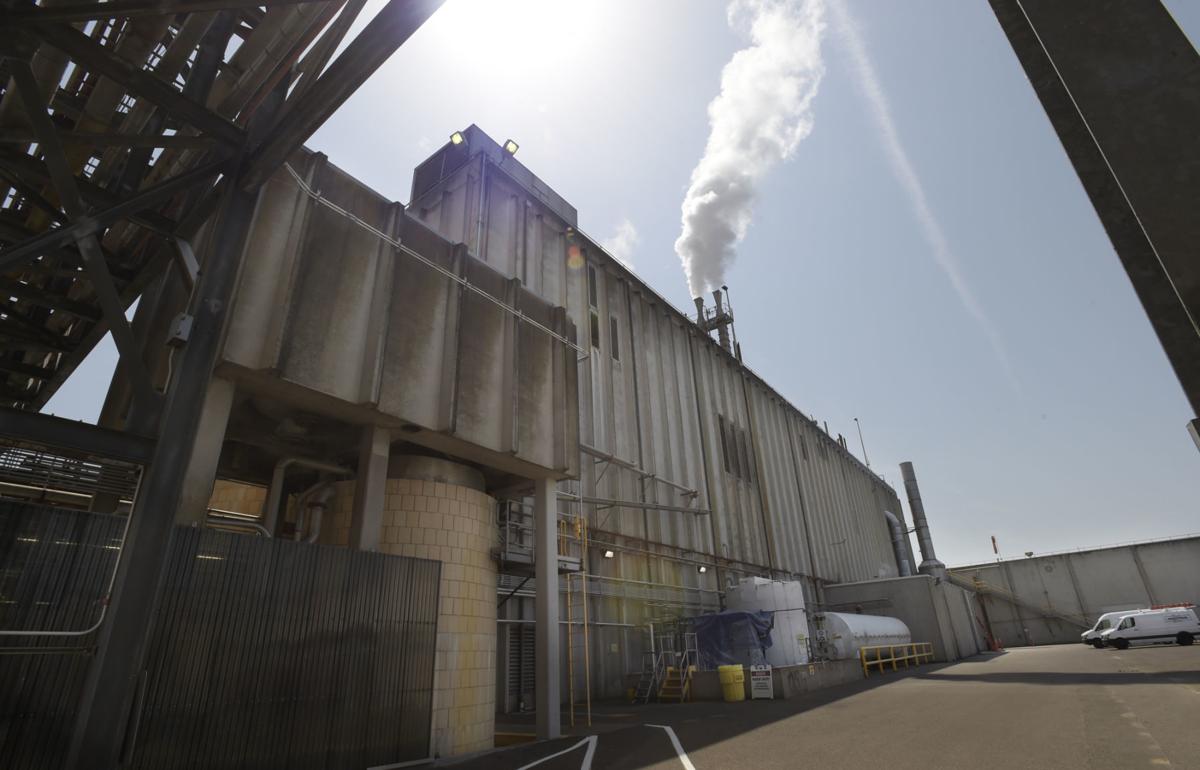 Gallery Halsey Paper Mill at 50 Local