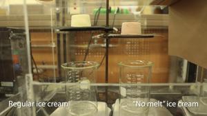 UW-Madison researcher creates ice cream that holds its shape