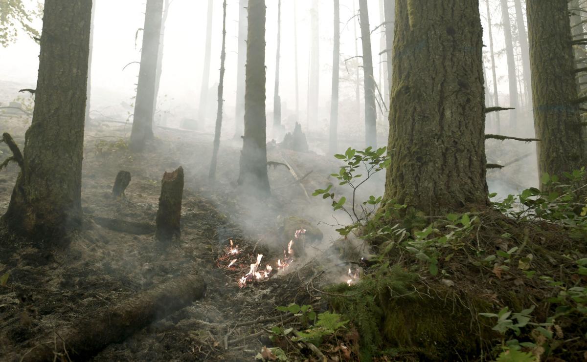 091620-adh-nws-Fire in Santiam State Forest-my