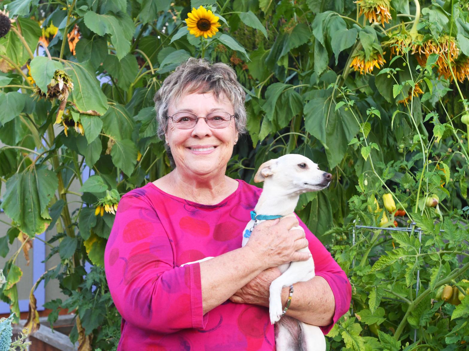 An Unexpected Blessing Corvallis Woman S Sunflowers Bring People Together Local Democratherald Com