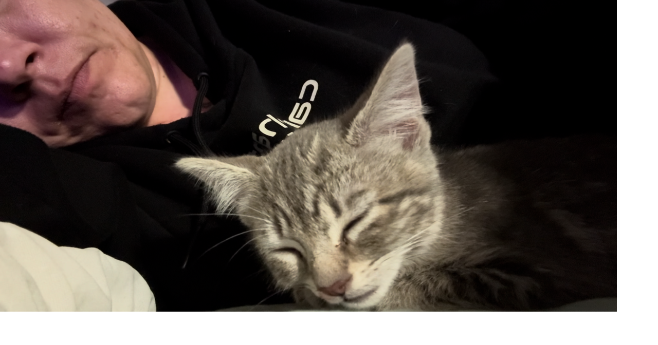 Lawsuit filed in death of Albany cat