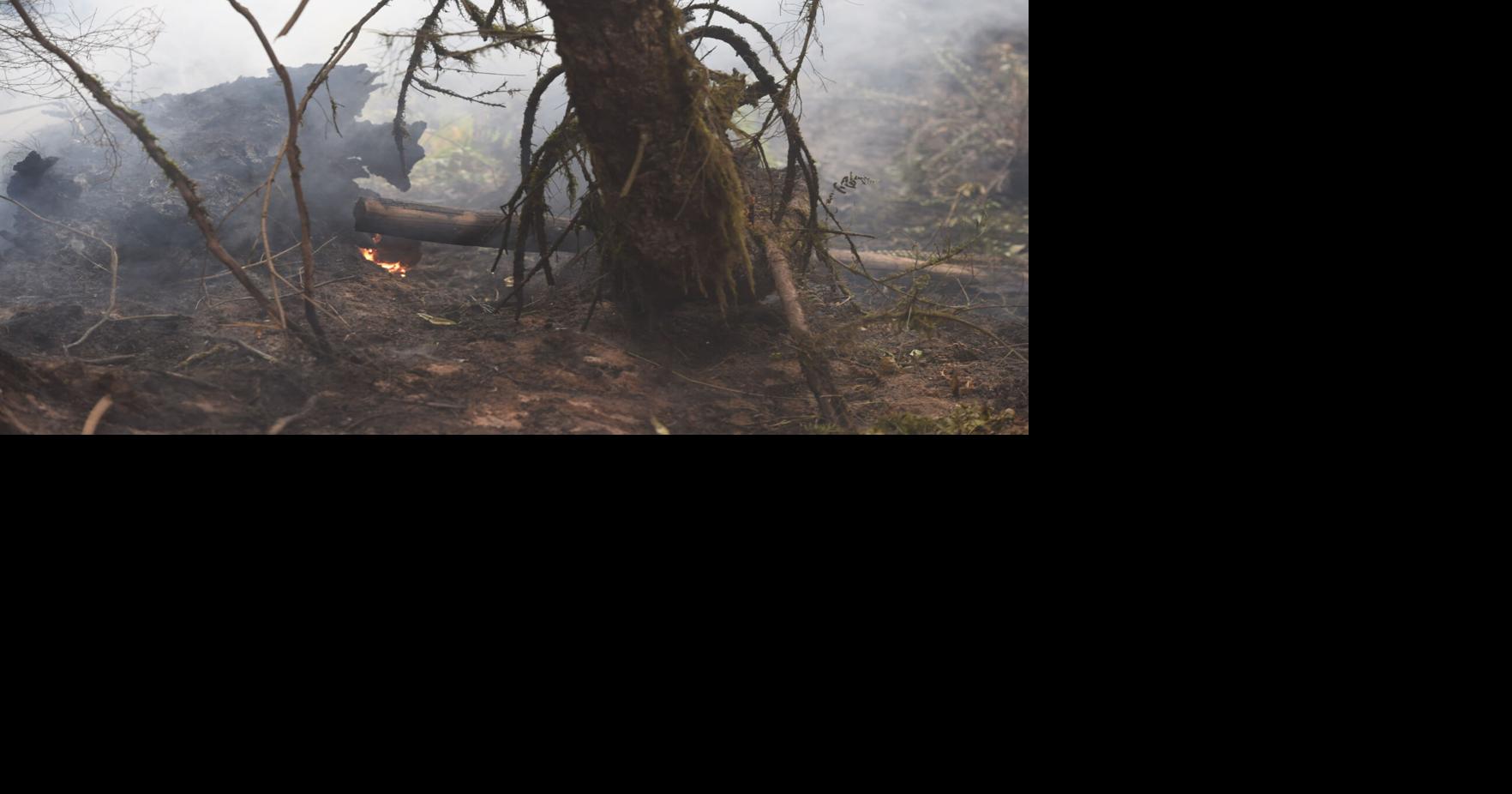 Burn bans issued for Linn, Benton counties