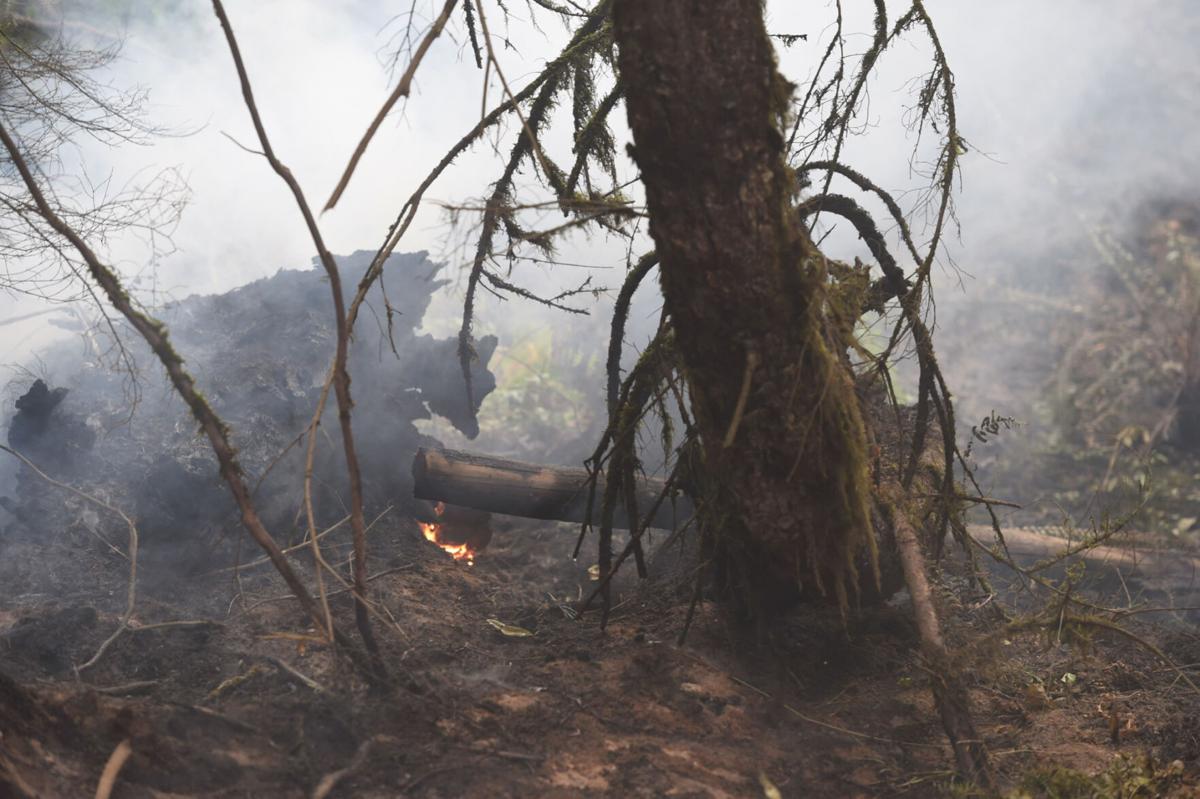 Burn bans issued for Linn, Benton counties