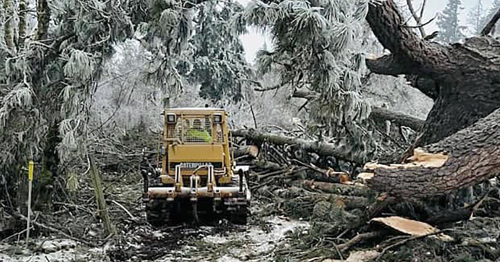 Benton, Linn officials close to final 2024 ice storm bill - Vimarsana News