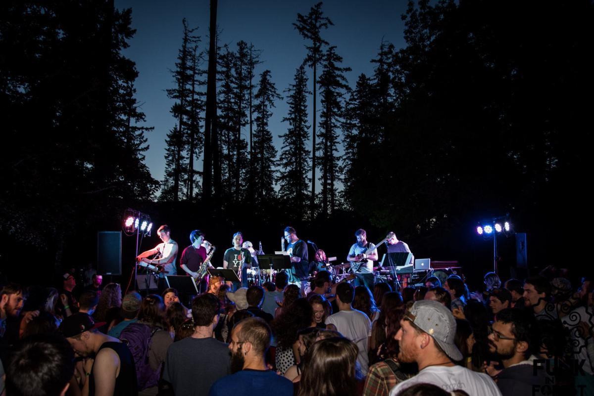 "Funk in the Forest" LEAD