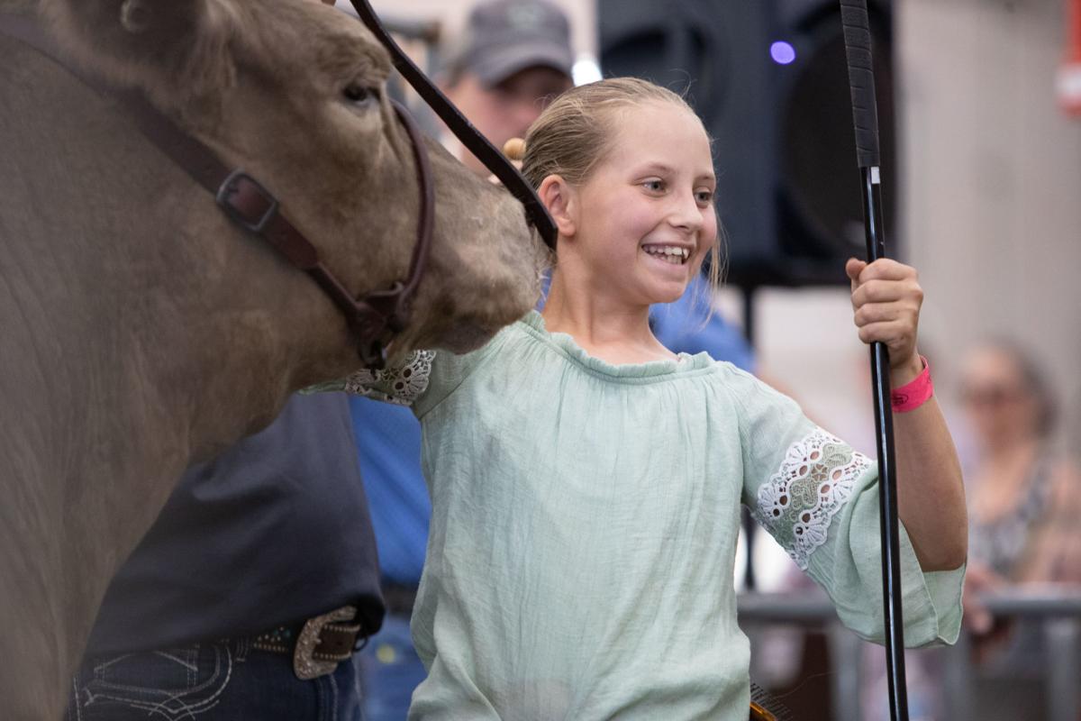 Linn County Fair 2022