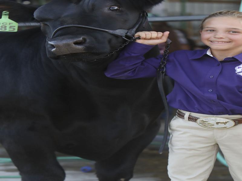 Benton County Fair 2022