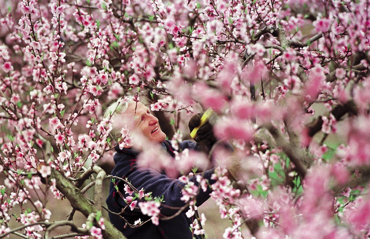 Flashback April 2000 Harry Lagerstedt