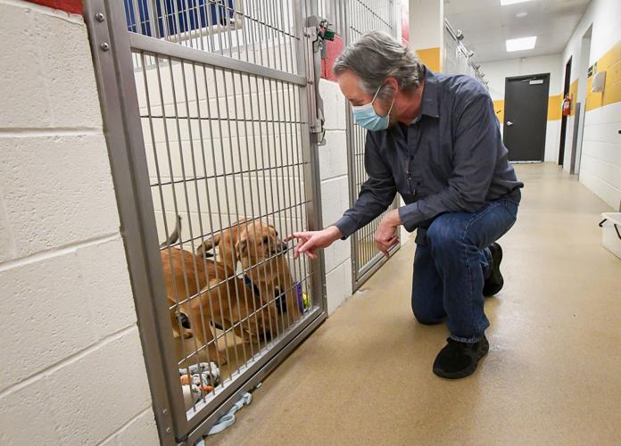 Story Next Door Tourtillott takes over at the Heartland Humane Society