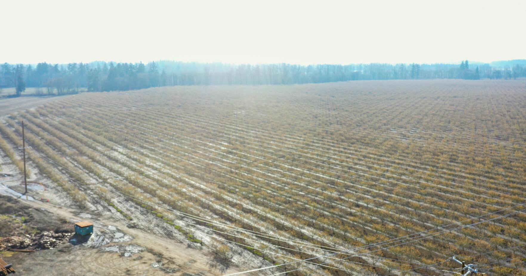 Millersburg withdraws land swap application, alleging Linn county erred in process - Vimarsana News
