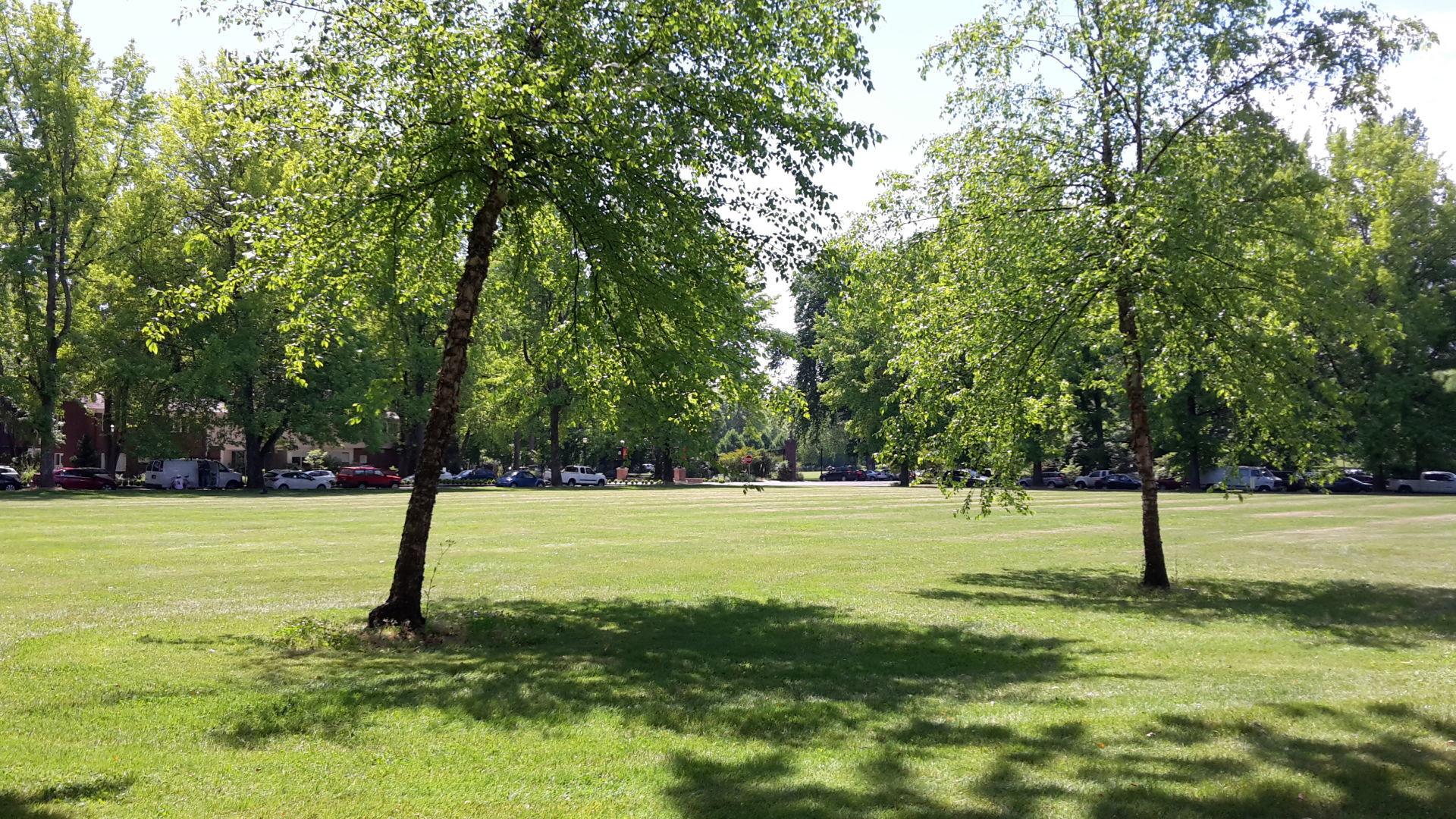 Osu Dorm Project Gets New Life Local Democratherald Com